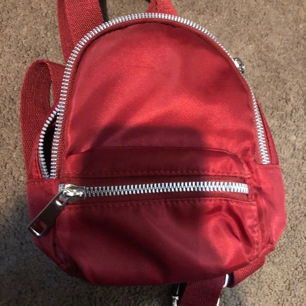 a little backpack purse carrier